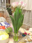 RIMG0228.jpg