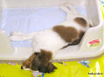 PICT0104.jpg
