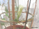 RIMG0300.jpg