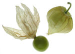 i_found_tomatillo.jpg