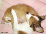 PICT0326.jpg
