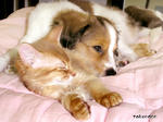PICT0363.jpg