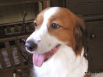 RIMG0377.jpg