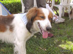 RIMG0426.jpg