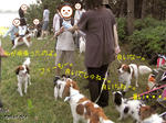 RIMG0479.jpg