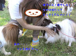 70296d1f.jpeg