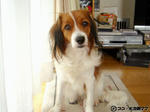 DSC00094.jpg