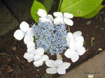 RIMG0606.jpg