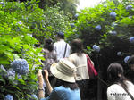 RIMG0593.jpg