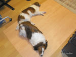 RIMG0654.jpg