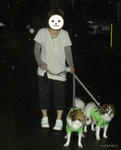 WalkingDogs.jpg