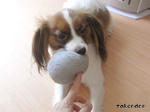 RIMG0759.jpg