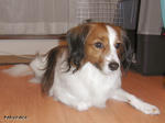 RIMG0782.jpg