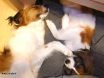 RIMG0799.jpg