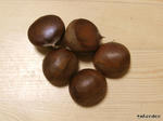 RIMG0977.jpg