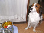 RIMG1253.jpg