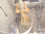 RIMG1271.jpg