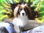 08612272.jpeg