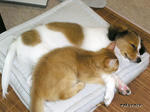 PICT0417.jpg