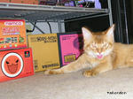 PICT0507.jpg