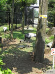 RIMG0166.jpg