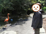8a045818.jpeg