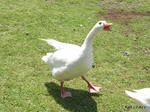 RIMG0335.jpg