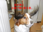 0217f330.jpeg