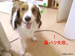 9229ed07.jpeg