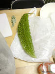 SH3B0009.jpg
