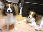 SH3B0017.jpg