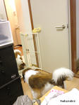 SH3B0021.jpg