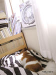 SH3B0047.jpg