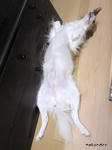 SH3B0049.jpg