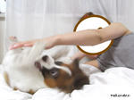 e2239b91.jpeg