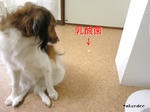 SH3B0057.jpg