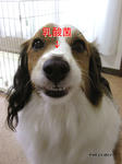 SH3B0053.jpg