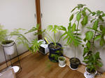 SH3B0138.jpg