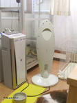 RIMG0877.jpg