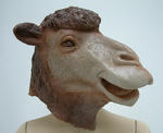 img55724143.jpg