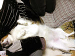 SH3B0165.jpg