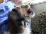 b63037be.jpeg