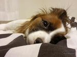 SH3B0212.jpg