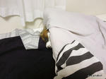 SH3B0217.jpg