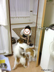 SH3B0234.jpg