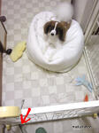 SH3B0240.jpg