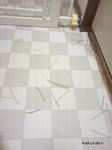 SH3B0242.jpg