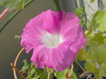 RIMG0817.jpg