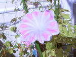 RIMG0949.jpg