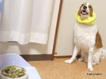 f8267922.jpeg